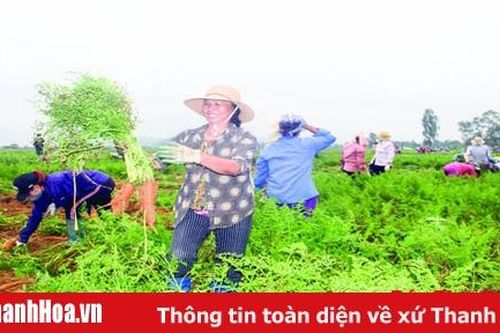 Phát triển bền vững công nghiệp chế biến nông, lâm, thủy sản