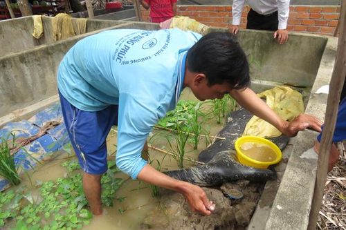 Hiệu quả từ việc chuyển đổi cơ cấu cây trồng, vật nuôi