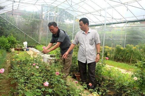 Kỳ 2: Tiếp tục đổi mới, tăng cường liên kết