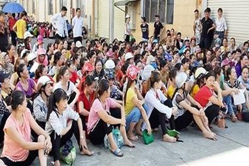 Công ty Kai Yang bố trí người thay thế giám đốc bỏ trốn