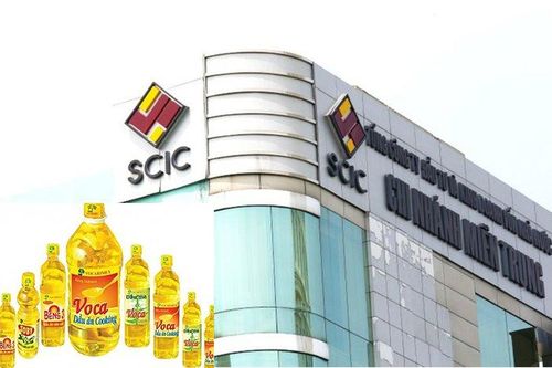 Ông lớn SCIC ế lô cổ phiếu nghìn tỷ tại Vocarimex, vì sao?