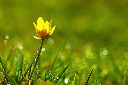 Tử vi ngày 19/8/2019: Tuổi Mùi tiểu nhân quấy phá, tuổi Tuất tài lộc rộng mở
