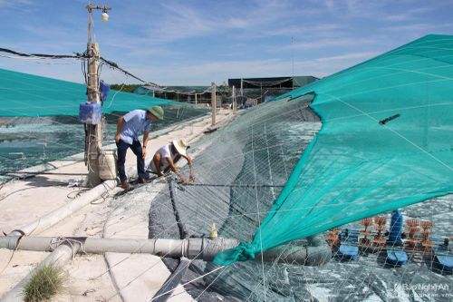 Ứng dụng khoa học kỹ thuật vào sản xuất: Nhiều vướng mắc cần tháo gỡ