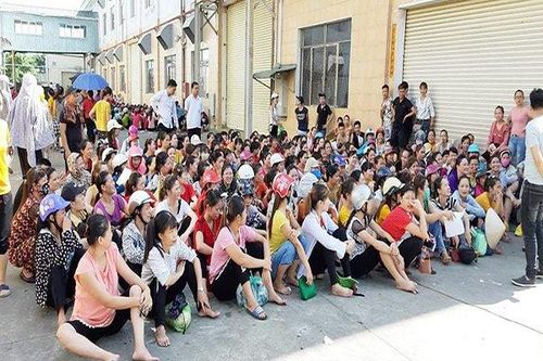 Tin vui cho 2.000 công nhân ở Hải Phòng bơ vơ vì giám đốc bỏ trốn