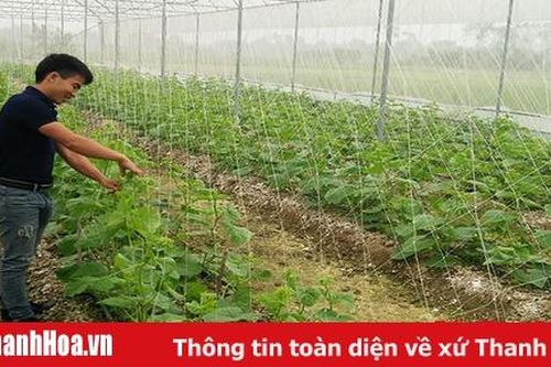 38.588 tỷ đồng cho vay phục vụ phát triển nông nghiệp, nông thôn