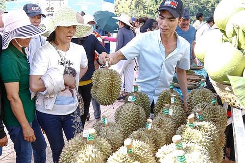 Cú hích quảng bá nông sản Khánh Sơn