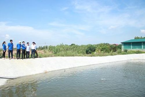 Hiệu quả từ mô hình Tổ hợp tác Thanh niên nuôi thủy sản xã Phú Lộc