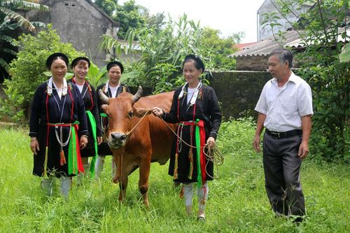 Hết lòng vì việc chung