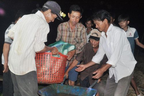 Kinh tế Nông nghiệp - Nông thôn Thu hoạch thủy sản vượt lũ