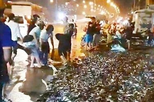 Trăm người giúp tài xế bắt lại 2,7 tấn cá sau tai nạn lật xe
