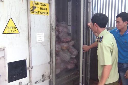 Phát hiện lượng lớn thịt nhiễm dịch tả lợn Châu Phi tại cơ sở sản xuất giò chả