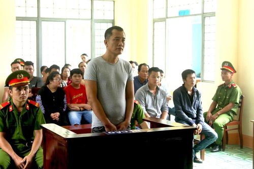 Giám đốc công ty lâm sản lĩnh án 8 năm tù vì mua gỗ trái phép