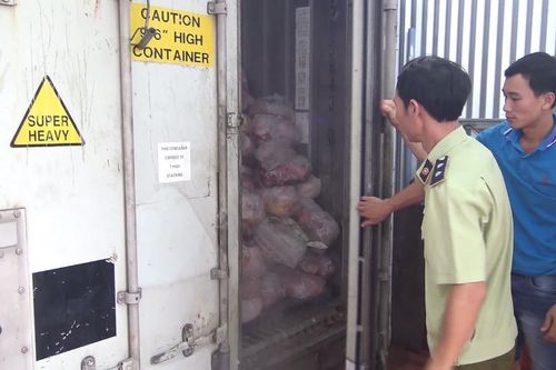 Hàng chục tấn thịt nhiễm dịch tả lợn châu Phi được làm giò chả
