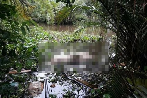 Bạc Liêu: UBND huyện Hồng Dân 'ém' công bố bệnh dịch tả lợn Châu Phi