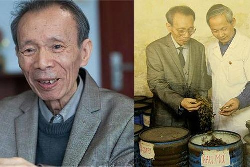 Cha đẻ của 'thần dược' Berberin đã qua đời