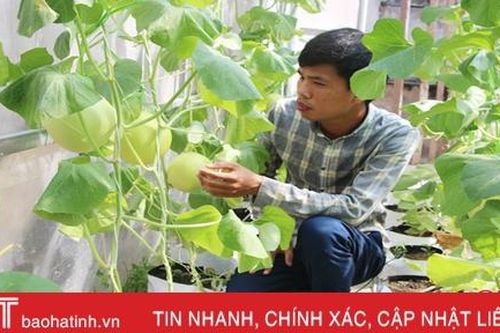 Nền nông nghiệp thành phố Hà Tĩnh hướng đến sản xuất sạch