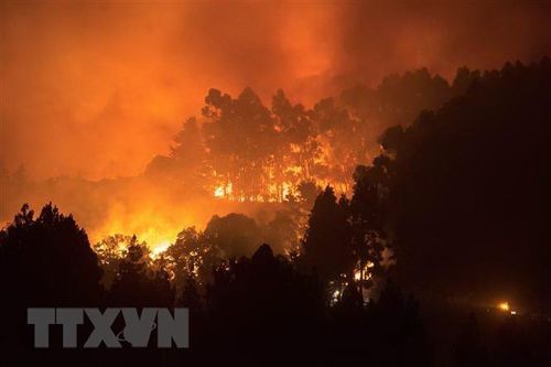 Hơn 3.400ha rừng ở Tây Ban Nha bị thiêu cháy, ngọn lửa cao 50m