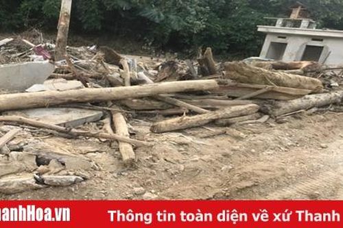 Để Sa Ná nhanh chóng hồi sinh sau lũ