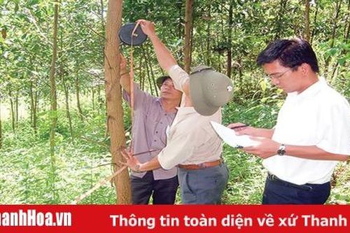 Toàn tỉnh trồng mới và chuyển hóa được 45. 500 ha rừng gỗ lớn