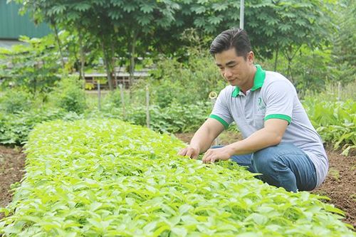 Làm nông nghiệp hữu cơ