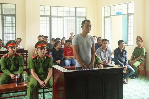 Ayun Pa: Lãnh án vì tiêu thụ gỗ lậu và sử dụng tài liệu giả