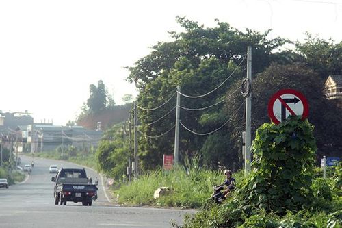 Nhiều biển báo giao thông 'núp' sau cỏ, cây