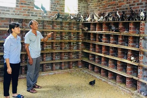 Tạo việc làm, nâng cao thu nhập