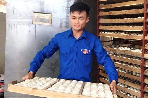 Sử dụng nguồn vốn vay hiệu quả