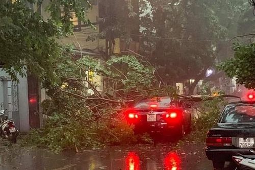 Hà Nội: Cây đổ trúng ô tô đang lưu thông trên phố Bùi Thị Xuân