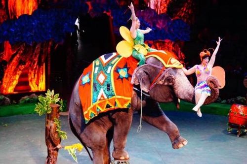 Liên đoàn Xiếc mang vòng quay tử thần mạo hiểm lớn nhất Đông Nam Á tới Thanh Hóa