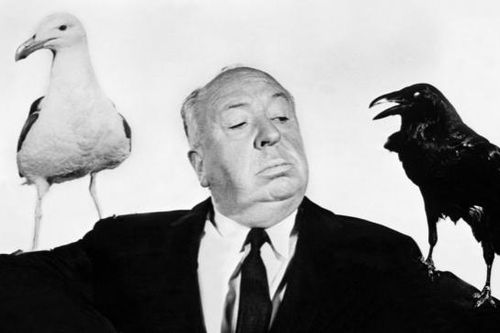 120 năm ngày sinh Alfred Hitchcock: Huyền thoại khiến người xem... toát mồ hôi lạnh