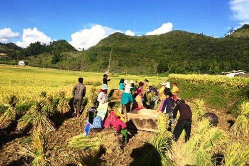 Năng suất lao động giúp nền kinh tế tăng sức cạnh tranh