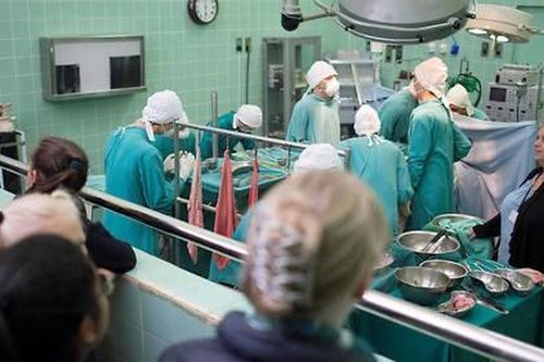 Có thể ghép tim lợn cho người?