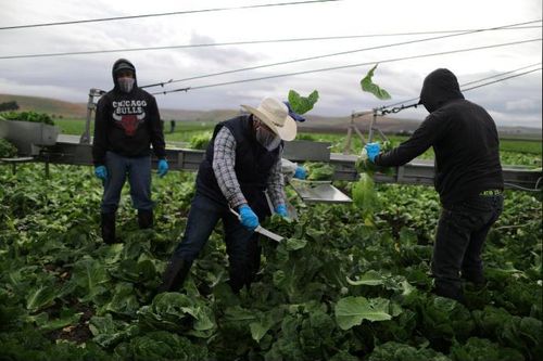 Hoa Kỳ đề nghị tăng visa để củng cố thỏa thuận tị nạn với Guatemala