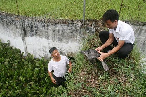 Toàn tỉnh khai thác 642 tấn thủy sản trong tháng 7
