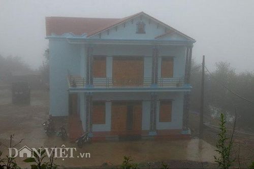 'Vua' táo mèo giàu bất ngờ, biệt thự to trên núi, mỗi năm thu tiền tỷ