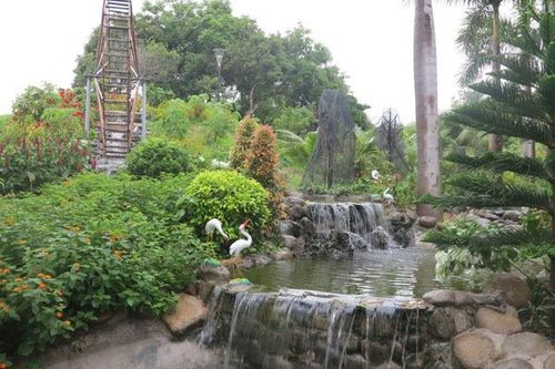Bố mẹ khuyên tôi nên ly hôn người chồng chạy xe ôm gầy ốm, hôi hám