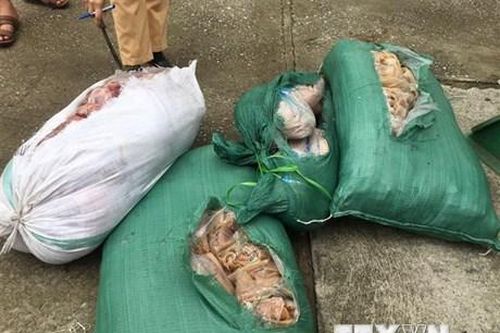 Thanh Hóa bắt giữ xe ôtô chở 260kg thịt lợn, da lợn ôi thiu