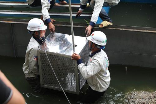 Nhiều ý kiến phản biện về công nghệ làm sạch nước sông Tô Lịch của Nhật Bản