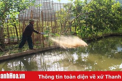 Agribank Lang Chánh: Dư nợ cho vay đạt hơn 550 tỷ đồng