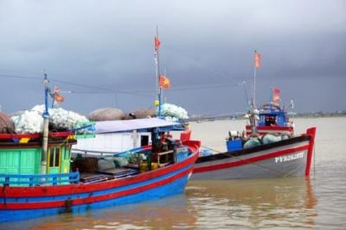 Hoán cải tàu cá để khai thác thủy sản vùng khơi
