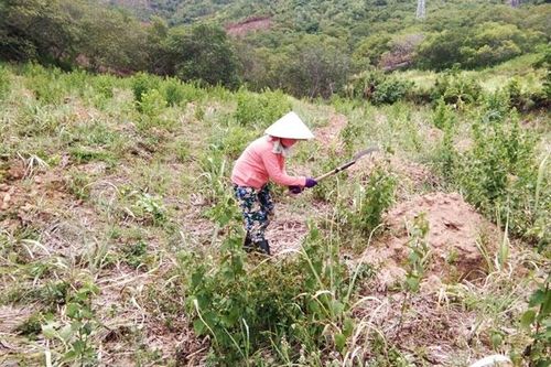 Hướng đi cho người thiếu đất sản xuất