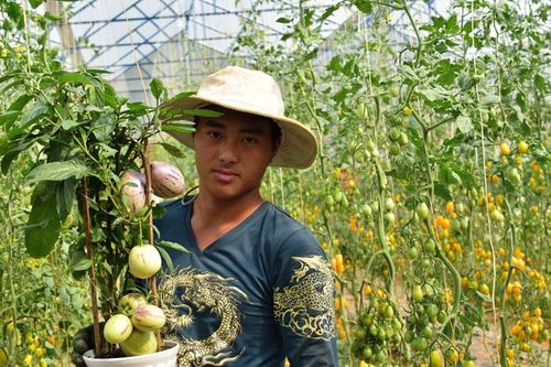 Hiện trạng và giải pháp phát triển nông nghiệp thông minh (Bài 3)
