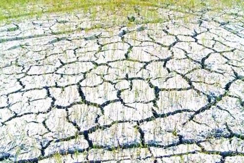 Người dân oằn mình vì hạn hán