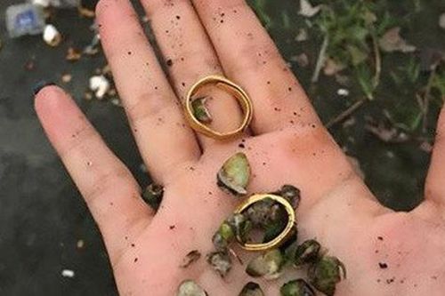 Cô gái trẻ lục 4 tấn rác để tìm lại nhẫn vàng