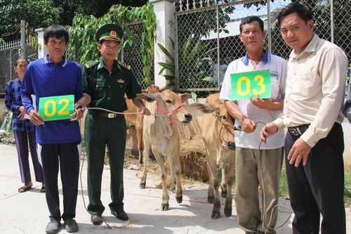 Trao tặng 10 con bò giống cho các hộ nghèo Campuchia