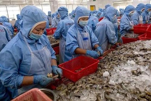 Mỹ công bố chính thức áp thuế chống bán phá giá tôm Việt 0%