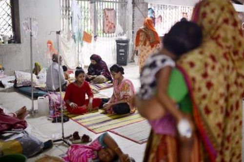 Bangladesh: Số ca mắc sốt xuất huyết tăng gấp 5,7 lần