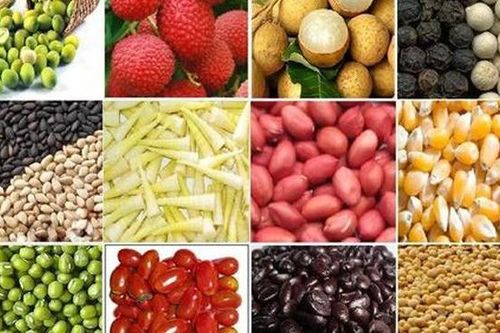 Xuất khẩu nông sản sang EU: Cửa mở rộng, nhưng không dễ vào