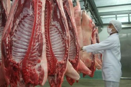 Việt Nam có thể thiếu nửa triệu tấn thịt lợn đến cuối năm 2019